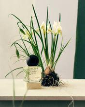 Заредете изображение във визуализатора на галерията – Racyne Verdeur