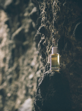 Заредете изображение във визуализатора на галерията – Abel Black Anise