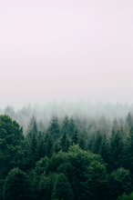 Заредете изображение във визуализатора на галерията – AKRO BREATHE Eau de Parfum